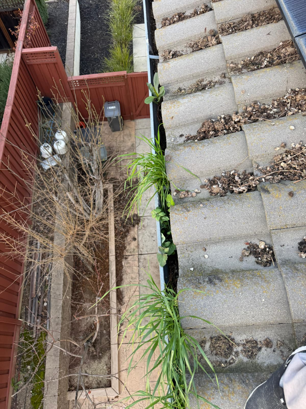 Gutter and roof debris